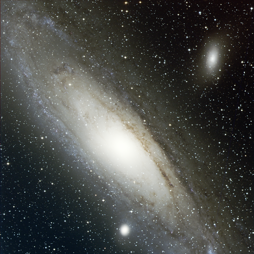 M31